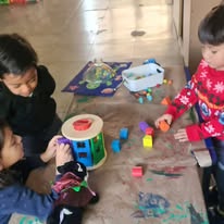 Piccoli semi - actividad 4